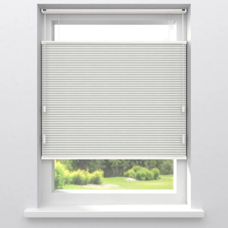 Fenstr Dubbel Plissé Aniek Wit Verduisterend