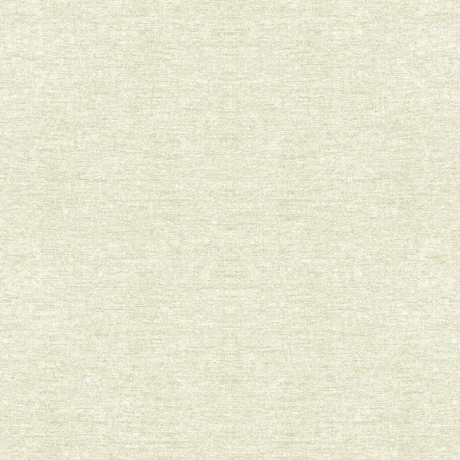 Fenstr Dubbel Plissé Aniek Wit Verduisterend