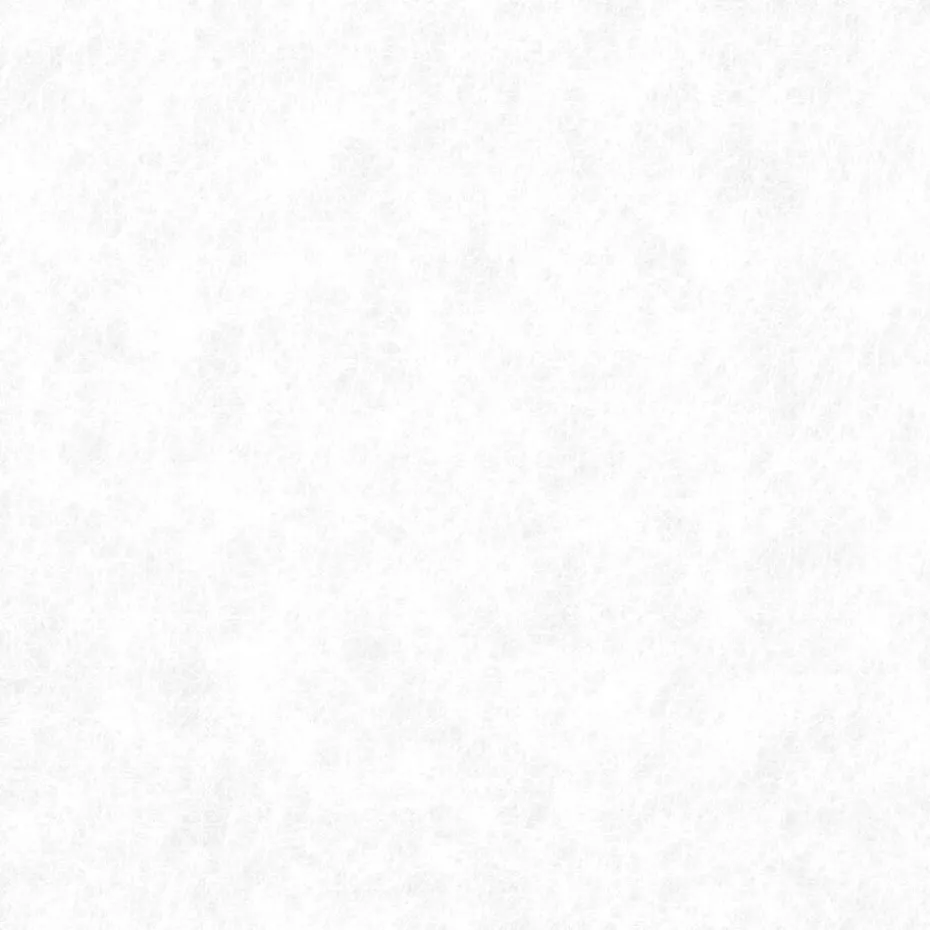 Fenstr Dubbel Plissé 45mm Lotte Wit Lichtdoorlatend