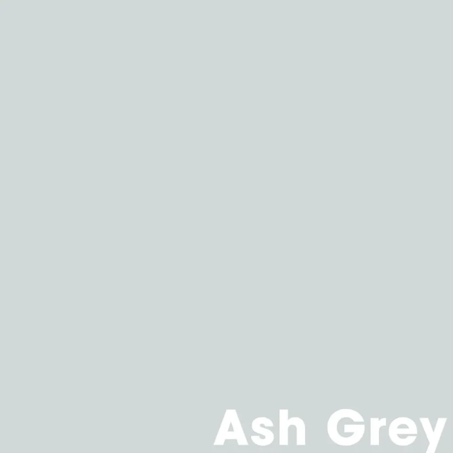 Muurverf Professional Ash Grey 1 L
